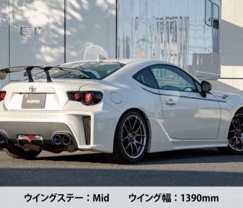 SARD LSR Wing (Universal)