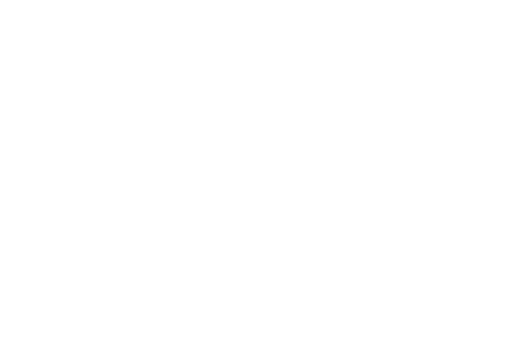 Saito Roll Cage