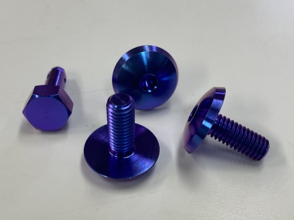 Do-Luck License Plate Bolt Set (3) with Special Tool