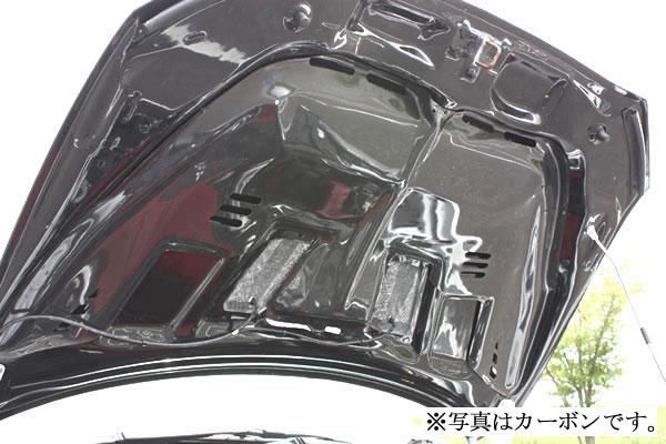 Garage Vary Mitsubishi Lancer Evolution X (CZ4A) Rain Guard (FRP)