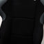 Recaro Profi SPG Seat Pair