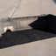 Toyota Altezza SXE10 (Lexus IS300) OEM JDM Rear Bumper with Lip * Pickup Only *