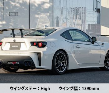 SARD LSR Wing (Universal)