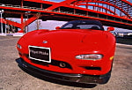 First Molding Flugel Plate Front Lip