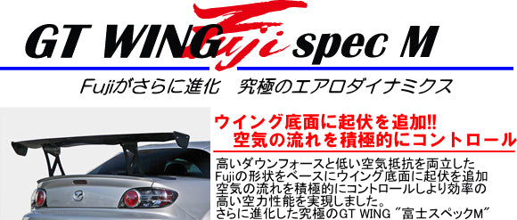 SARD GT Wing 014