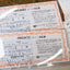 Recaro Ideal Seat TS Seat Pair